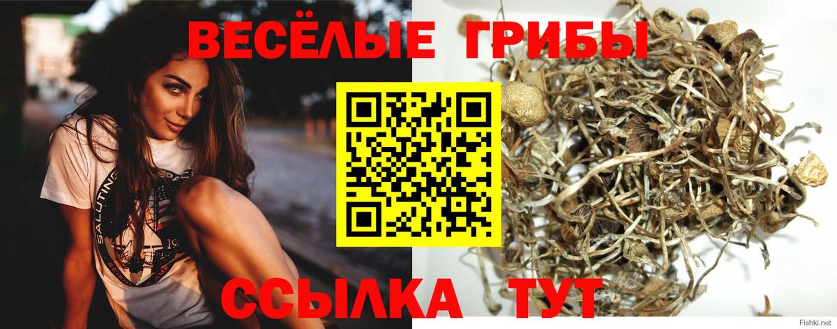 купить наркотик  Вход с VPN  Галлюциногенные грибы ЛСД  Люберцы  Галлюциногенные грибы MAGIC MUSHROOMS 